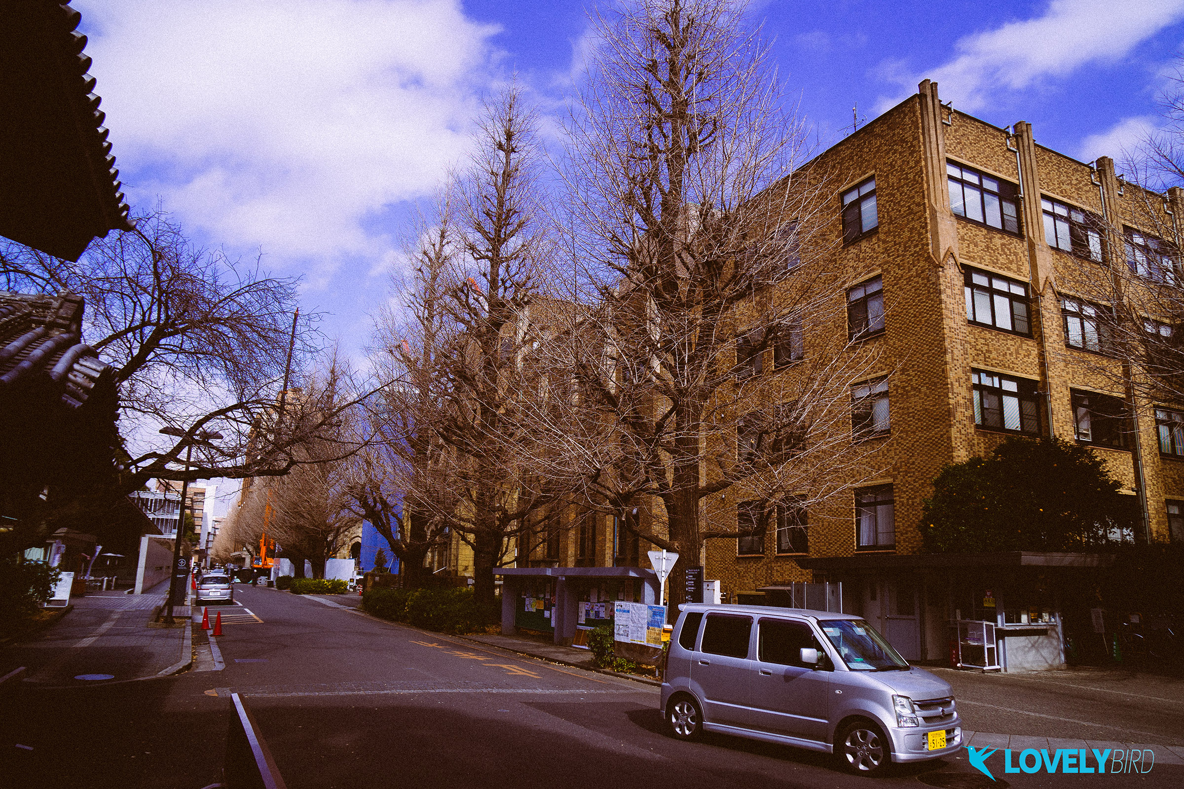 DSC02954