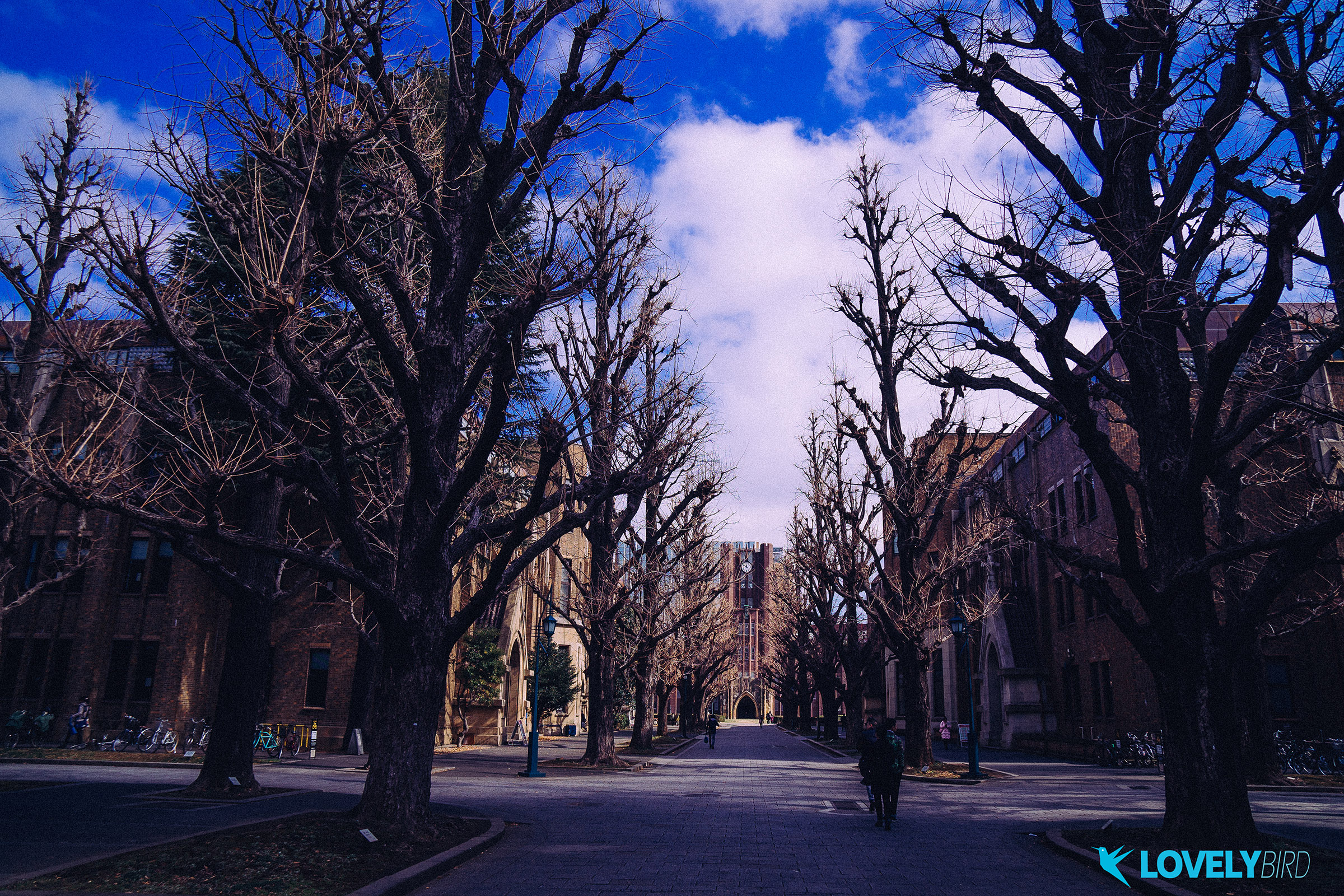 DSC03003